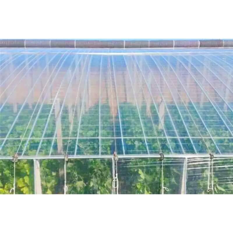 Plastic Sheeting For A Greenhouse