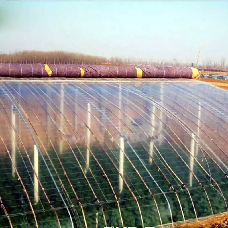 Китай 温室抗紫外线塑料布, производитель