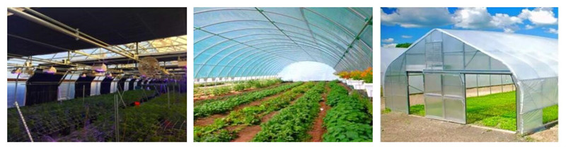 triple polycarbonate greenhouse