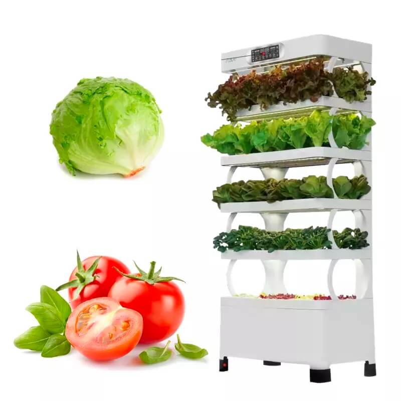 Hydroponic Vegetables