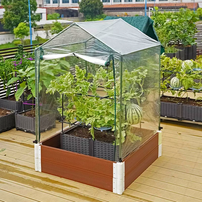 Greenhouse And Raised Bed Gardening