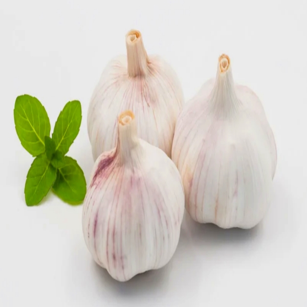 garlic