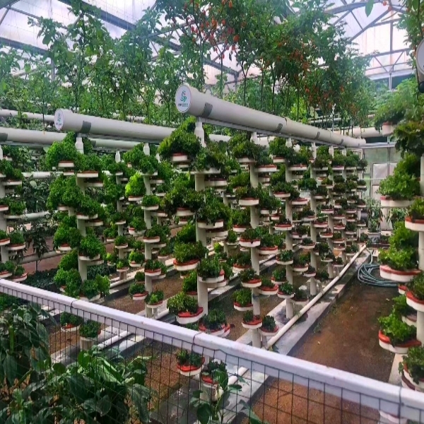 Vertical Hydroponic system