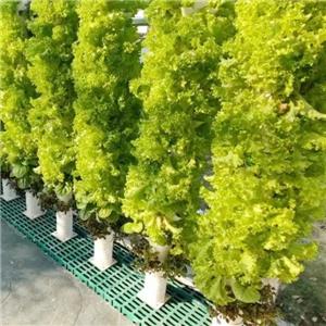 High Quality Vertical Hydroponic Grow Tower