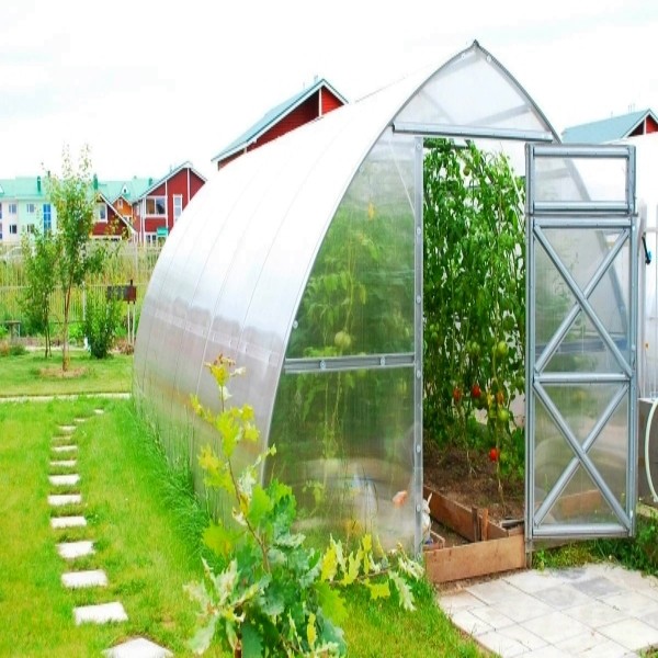 tunnel greenhouse