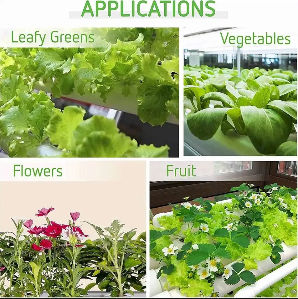 greenhouse soilless cultivation equipment