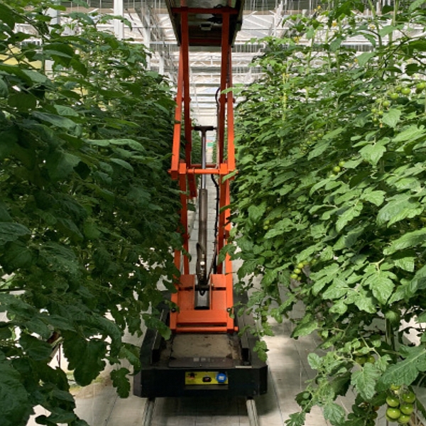 Intelligent drivhusløftespor plukkebil drivhus jordfrit dyrkningsudstyr multifunktionel mobil plukkebil