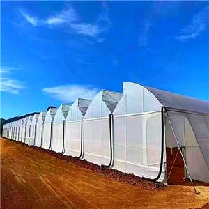 Other type tunnel greenhouse with good ventilation effect