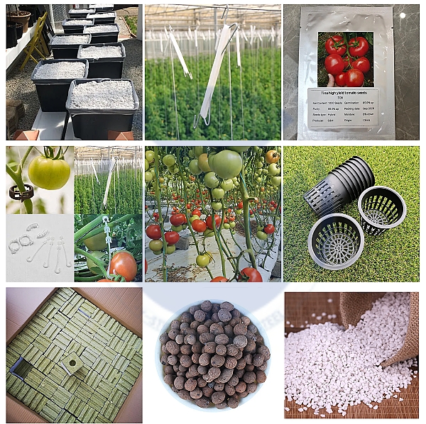 Китай Гидропонные системы выращивания в теплицах Голландский
 Ведро
 Система
, производитель