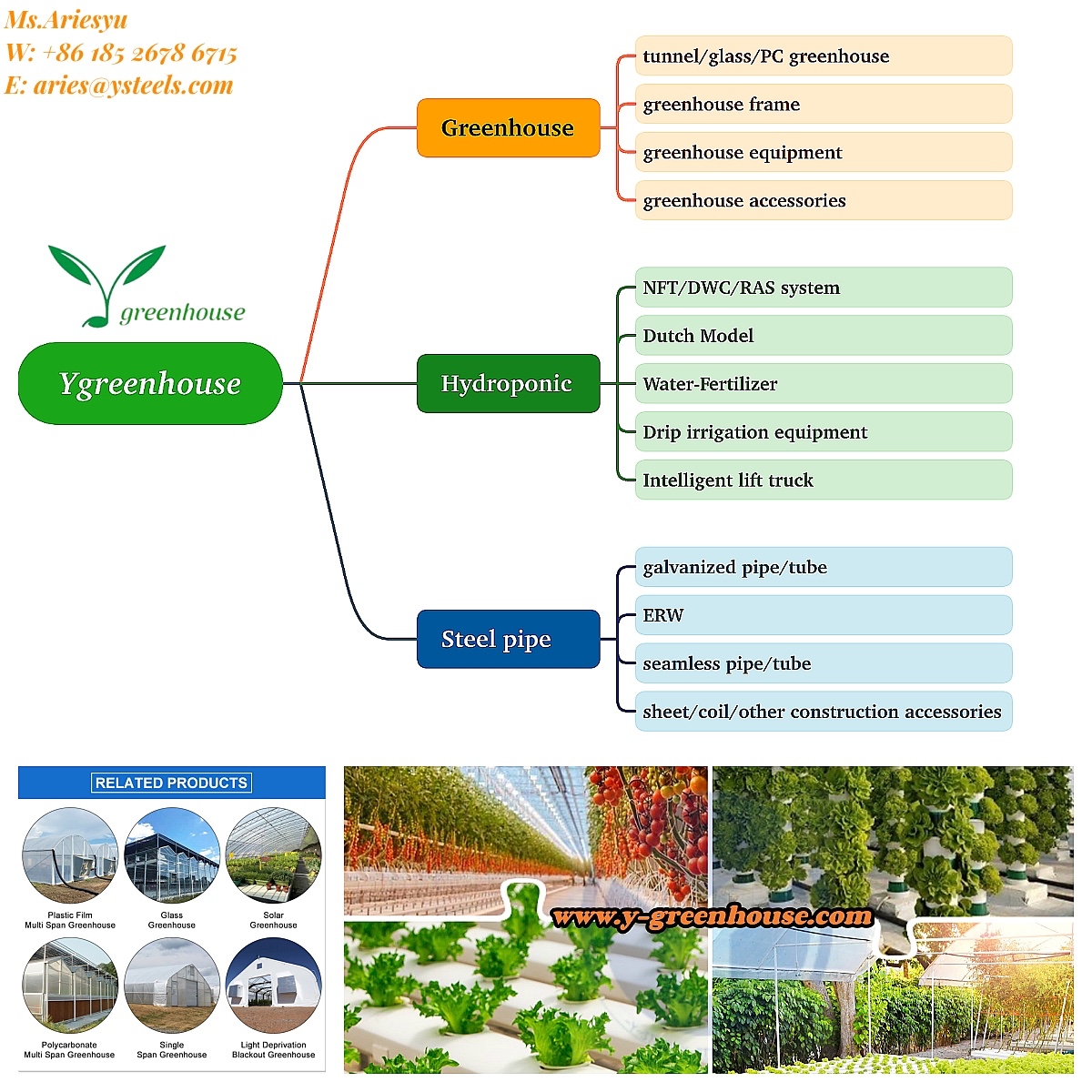 hydroponic tomatoes