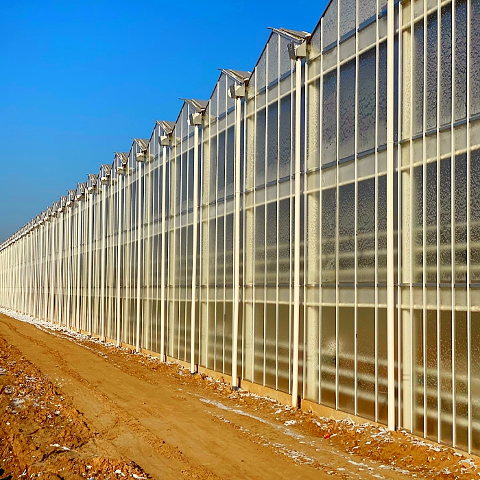 Китай Туннельная теплица и гидропонная система для томатов, производитель