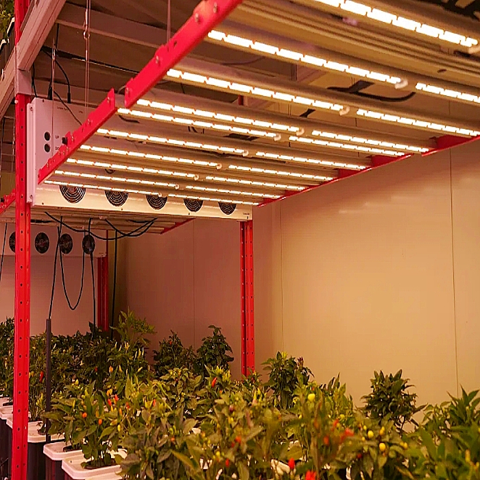 Китай Комплексное оборудование для выращивания растений в помещении - Интеллектуальная автоматическая система, производитель