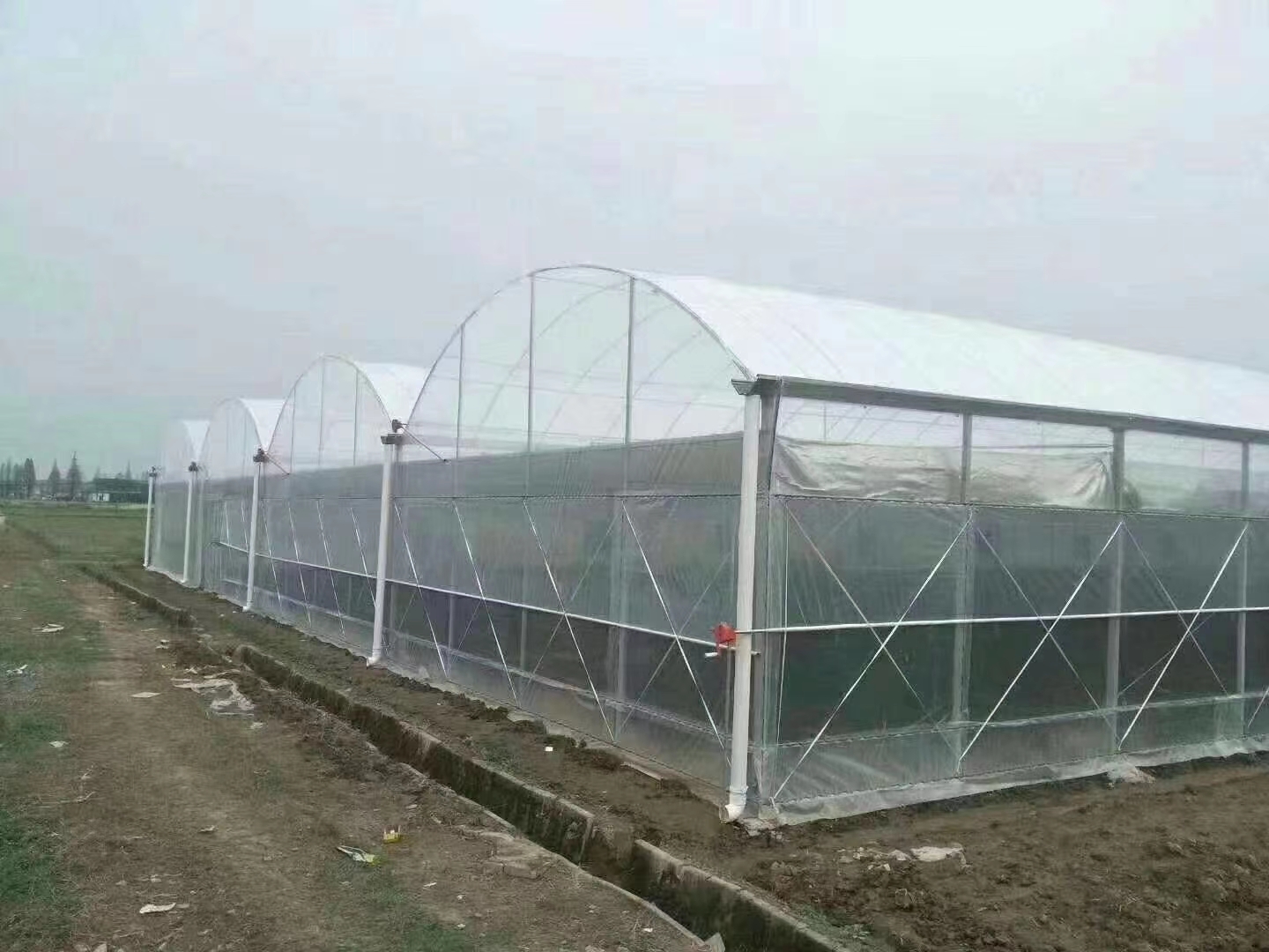 Китай Подгонянный фильм ПЭ парника мульчи простирания размера пластиковый для аграрного, производитель
