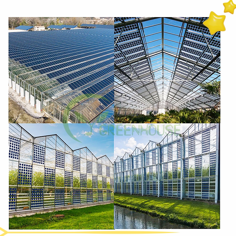 Китай Многопролетная коммерческая солнечная теплица Venlo, производитель