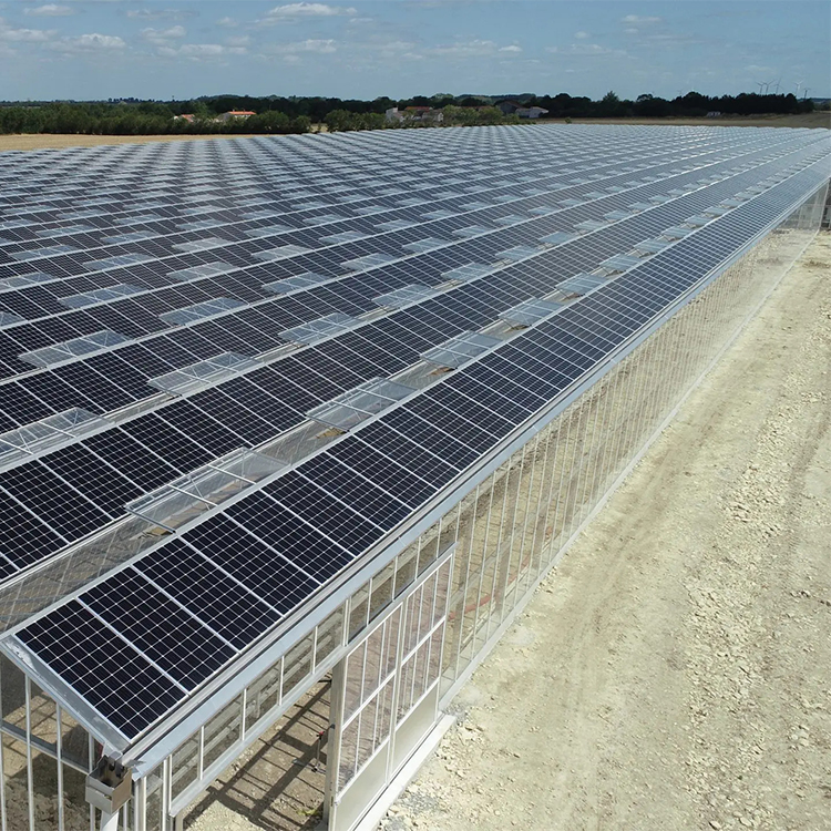 Transparent Solar Panels green house