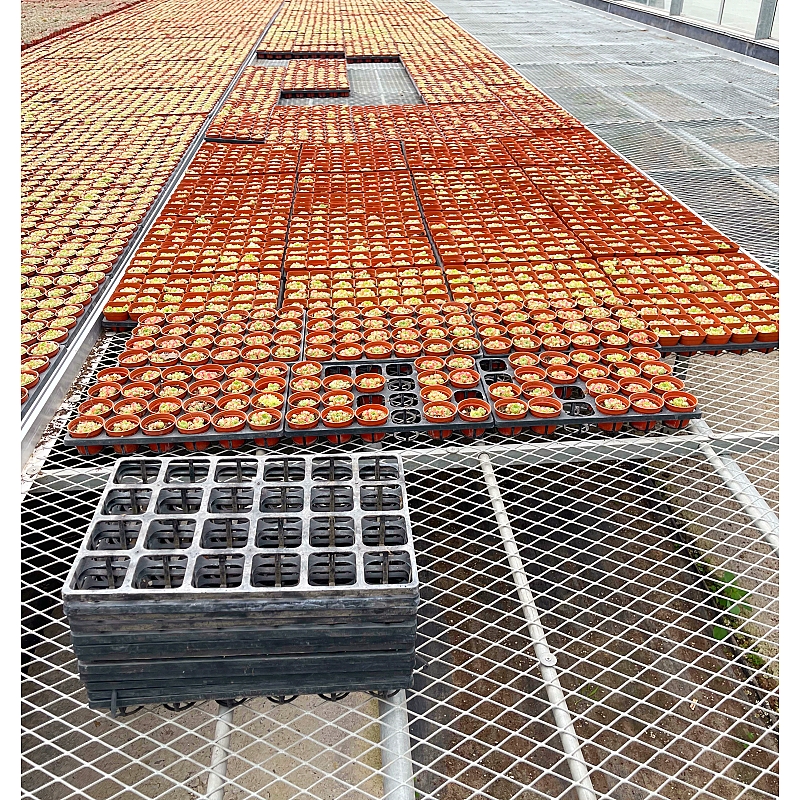 Wholesale Greenhouse Seed Grow Bed