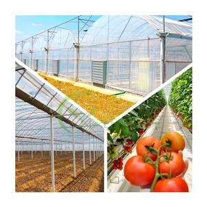מותאם אישית חקלאות חקלאות אוטומטית מערכת הידרופונית תעשייתית חממה מסחרית Multispan