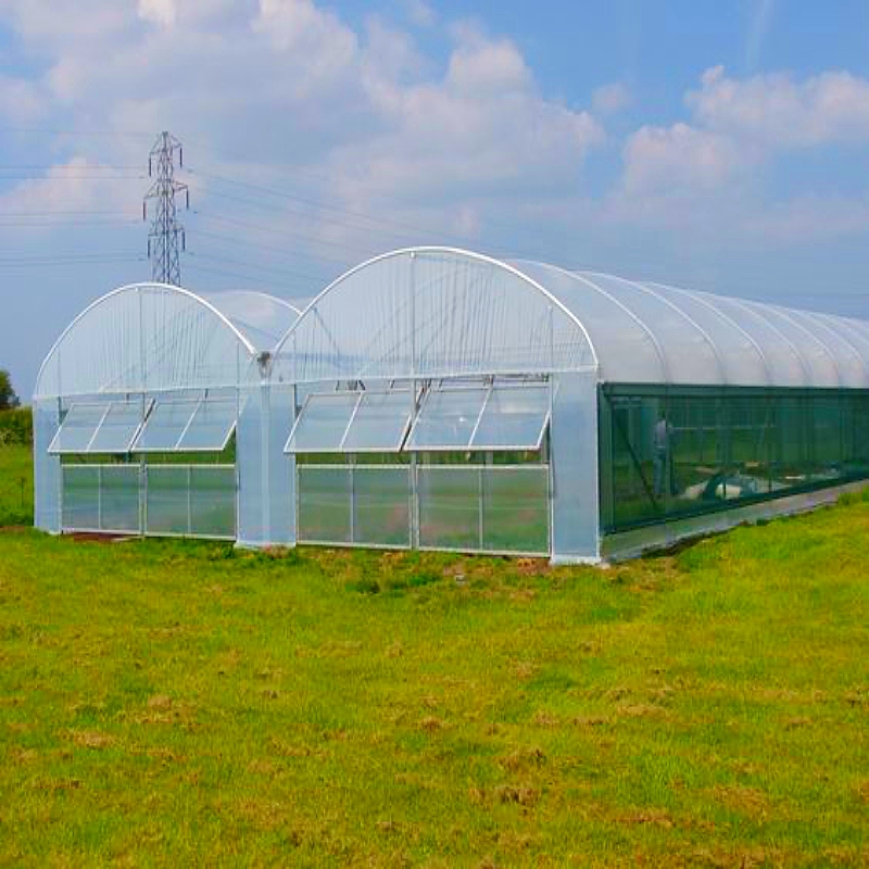 high tunnel Greenhouse