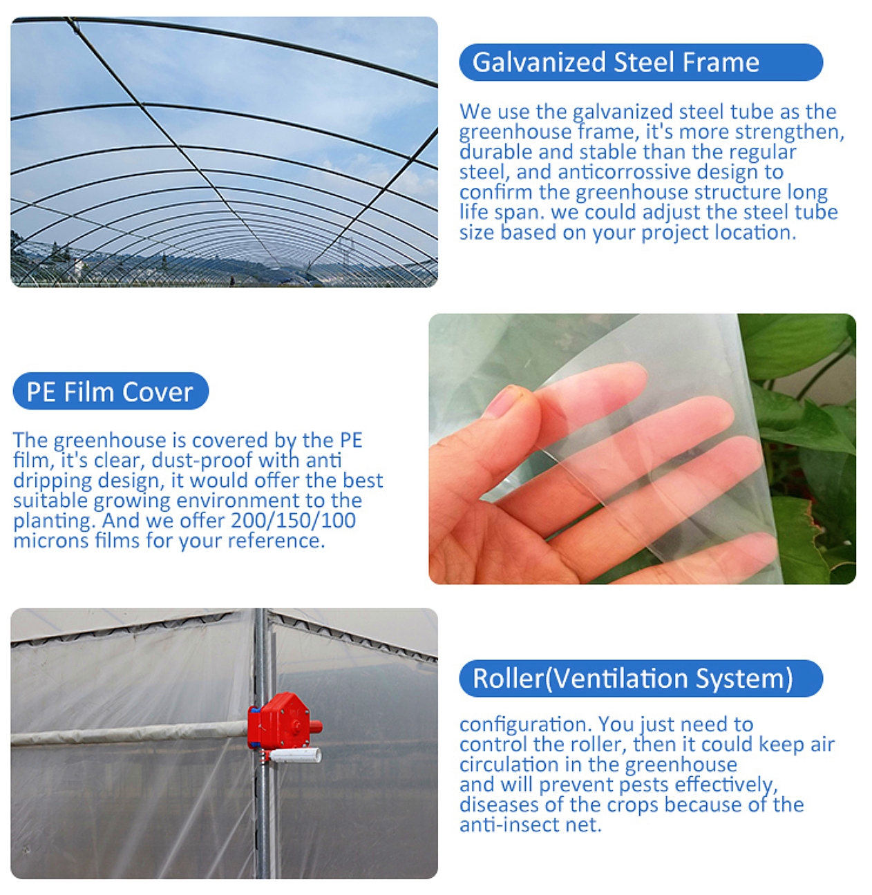 Commercial Multispan Greenhouse