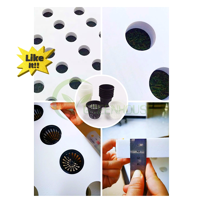 Wholesale XPS Customized Size 72 Holes Hydroponic Growing High Density DWC System Floating Plate Board For Vegetable