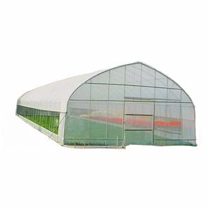 Invernadero agrícola de túnel único, marco de acero galvanizado con película resistente a los rayos UV de 200micron PE