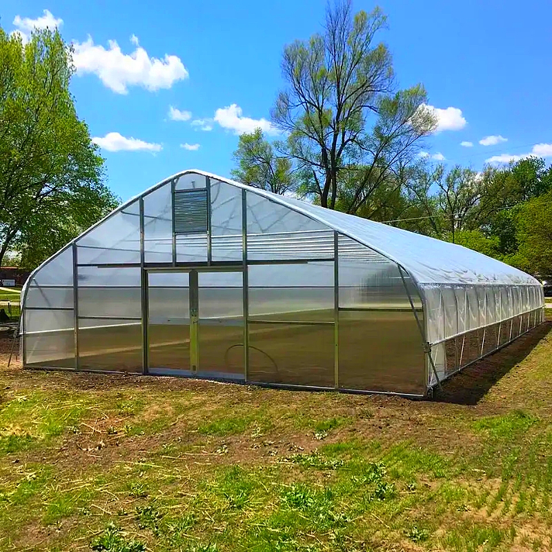 200micron PE UV Resistant Film Galvanized Steel Frame Agricultural Single Tunnel Greenhouse