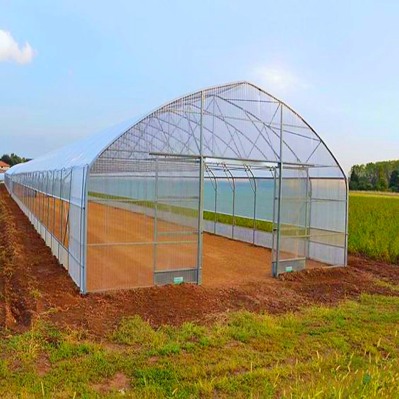 200micron PE UV Resistant Film Galvanized Steel Frame Agricultural Single Tunnel Greenhouse