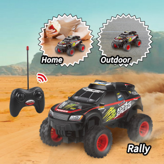 Kool Speed 1:16 Rallytruck met afstandsbediening