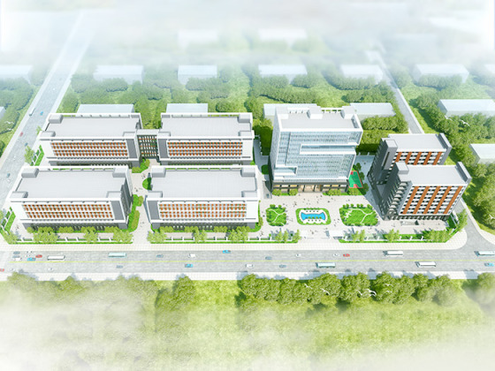 HK P&C International Development Ltd.