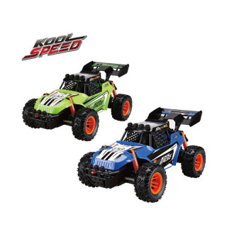 Auto da rally R/C 1:16