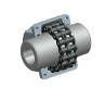 Roller Chain Coupling