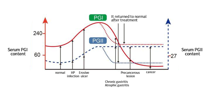 h pylori test