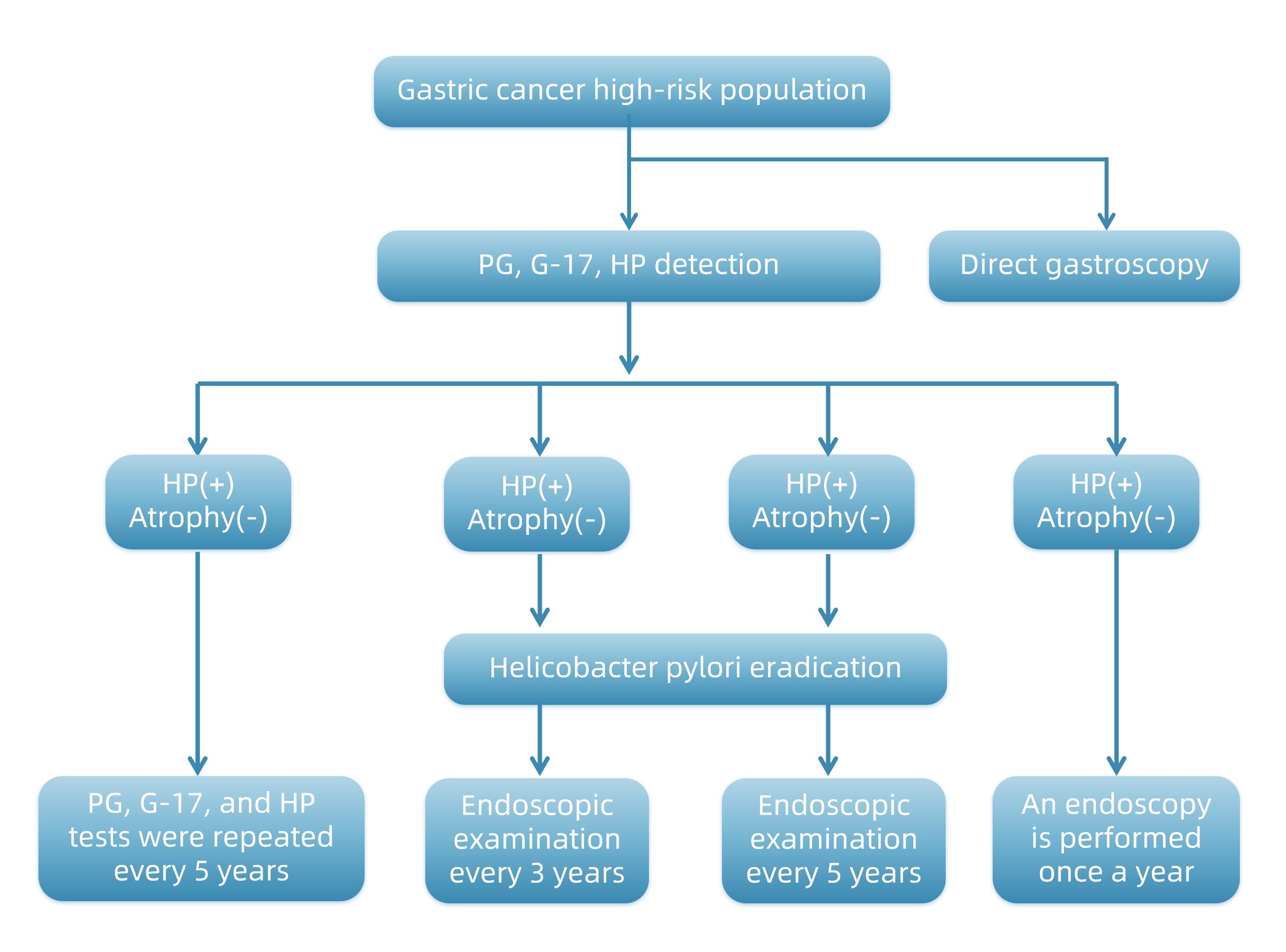 hpylori test