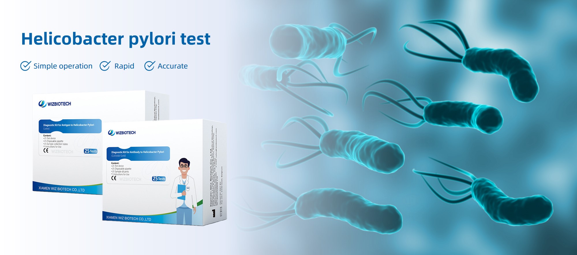 h pylori ab test