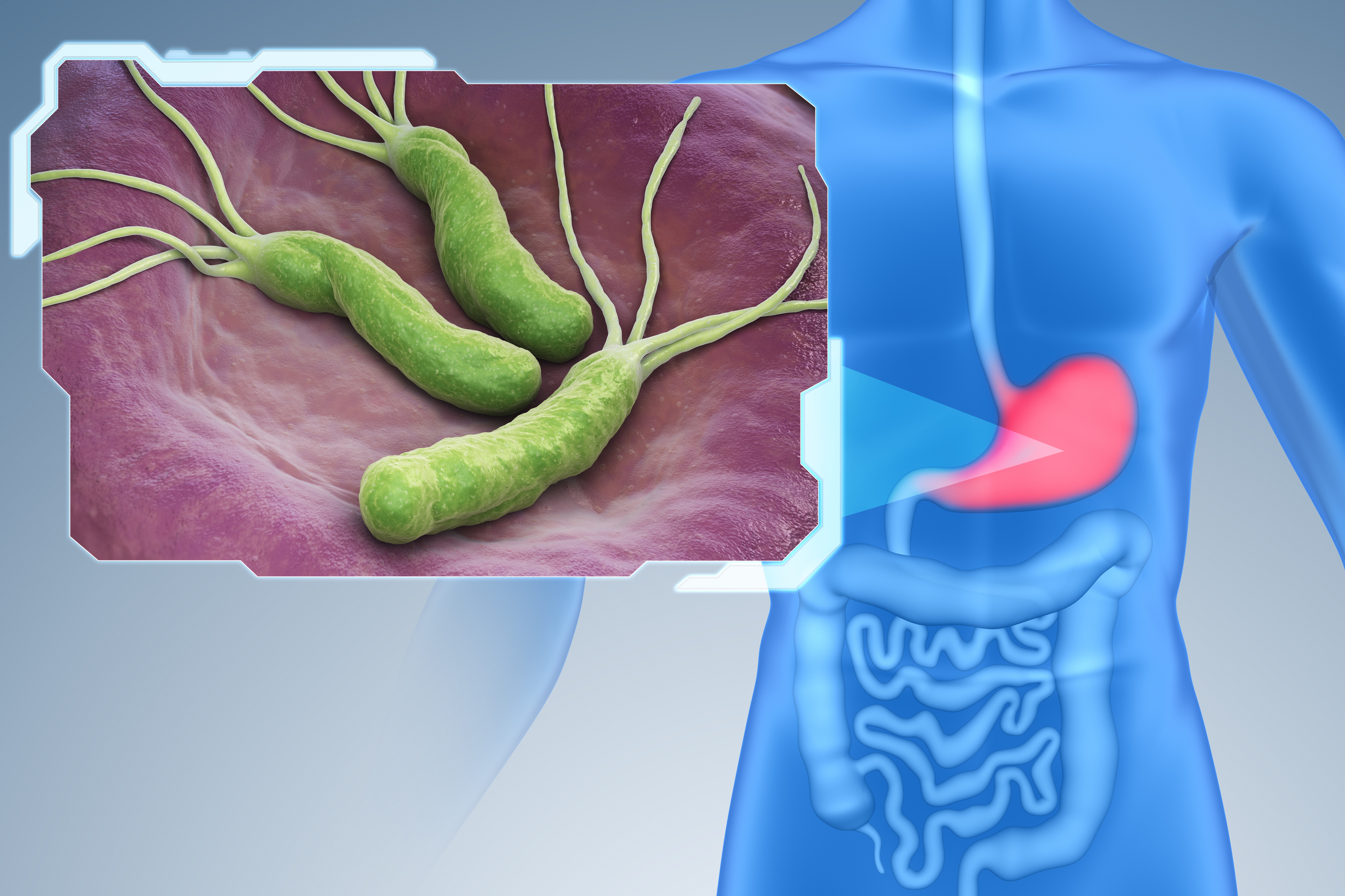 hpylori test