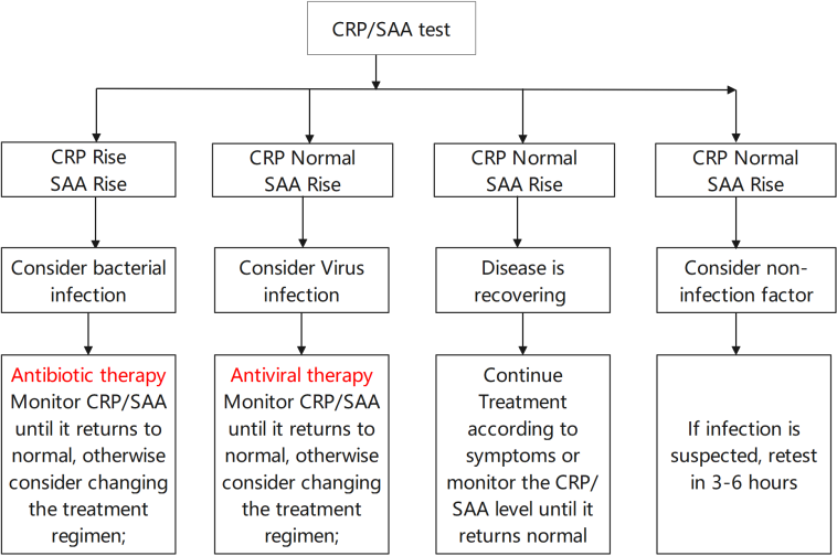 CRP(C-reactive protein)