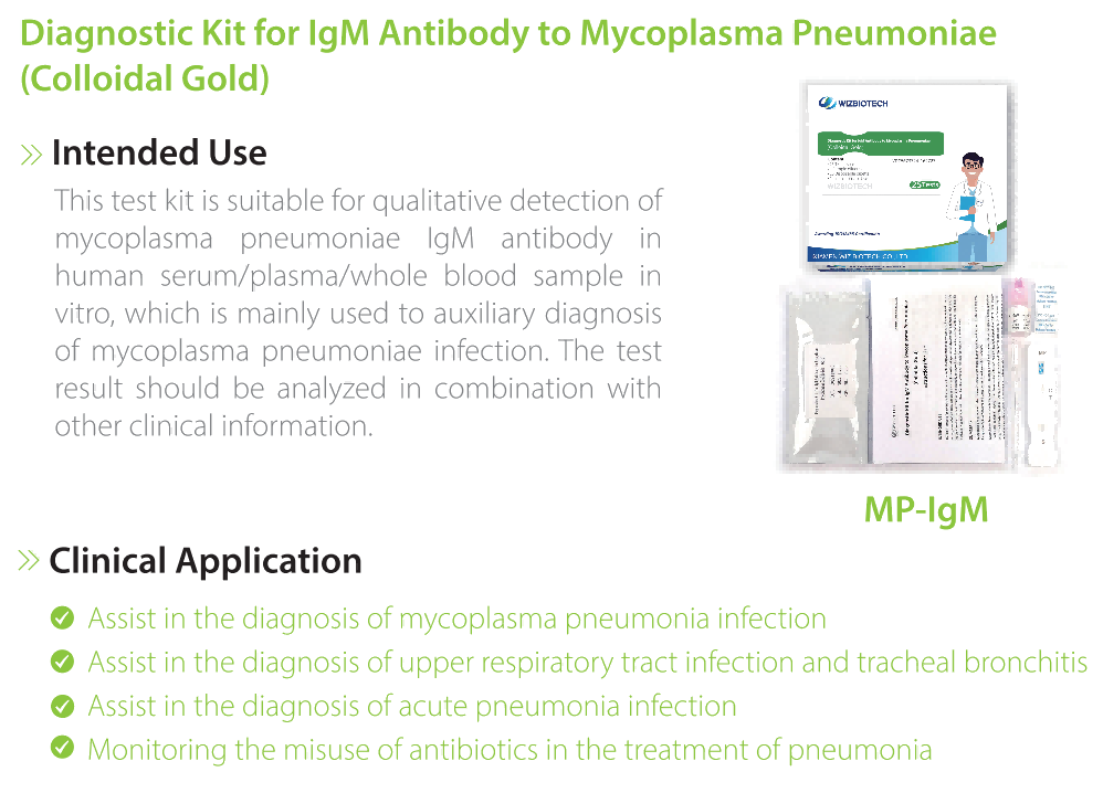 Mycoplasma pneumoniae pneumonia