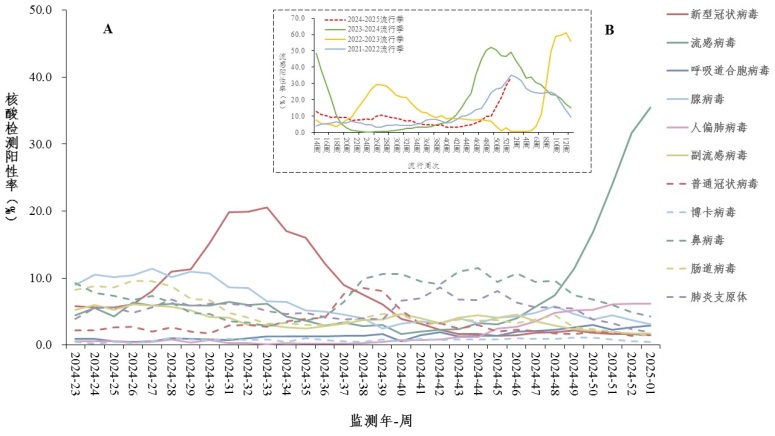 respiratory infectious diseases