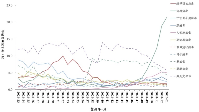 influenza virus