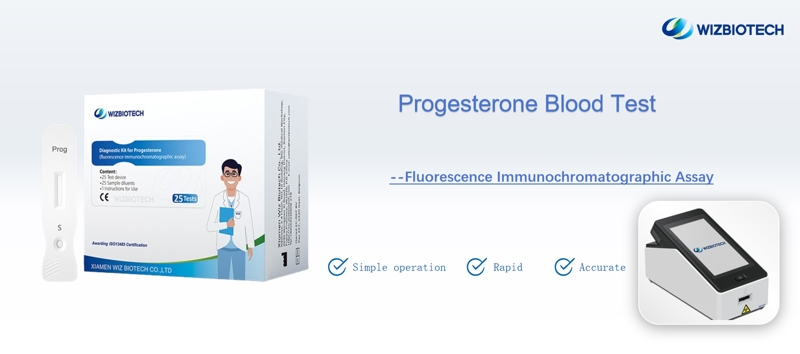 Progesterone Test