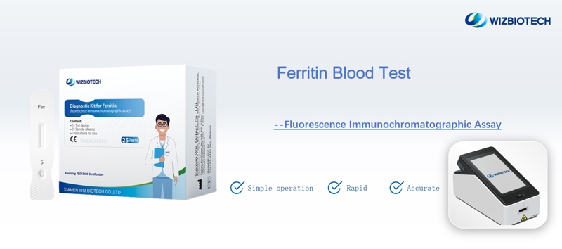 Ferritin