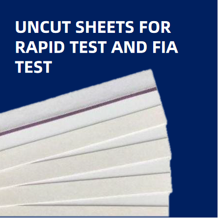 Potenziamento dei partner di produzione IVD: fogli non tagliati di reagenti per immunocromatografia, per accelerare il time-to-market e la crescita aziendale