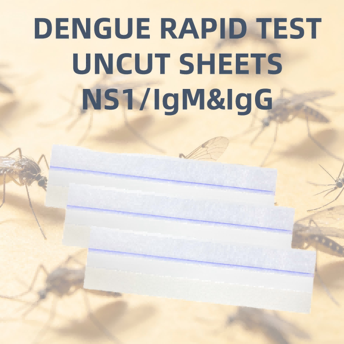 A temporada de chuvas se aproxima: alerta de dengue – como as empresas de diagnóstico in vitro podem conquistar o mercado do Sudeste Asiático com lâminas de ouro coloidal não cortadas.