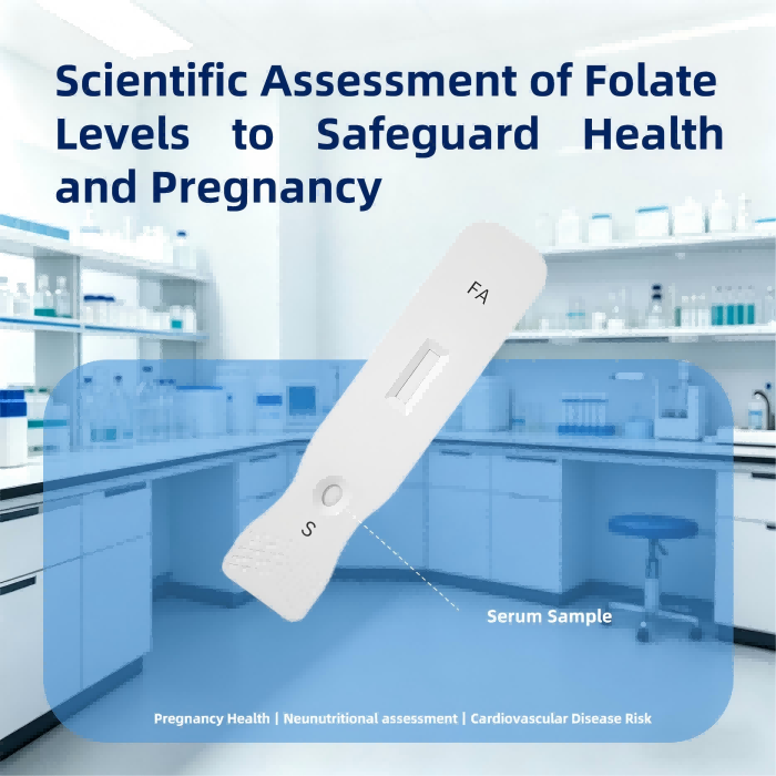 Dosage du folate sérique : Évaluation scientifique des taux de folate pour préserver la santé et la grossesse