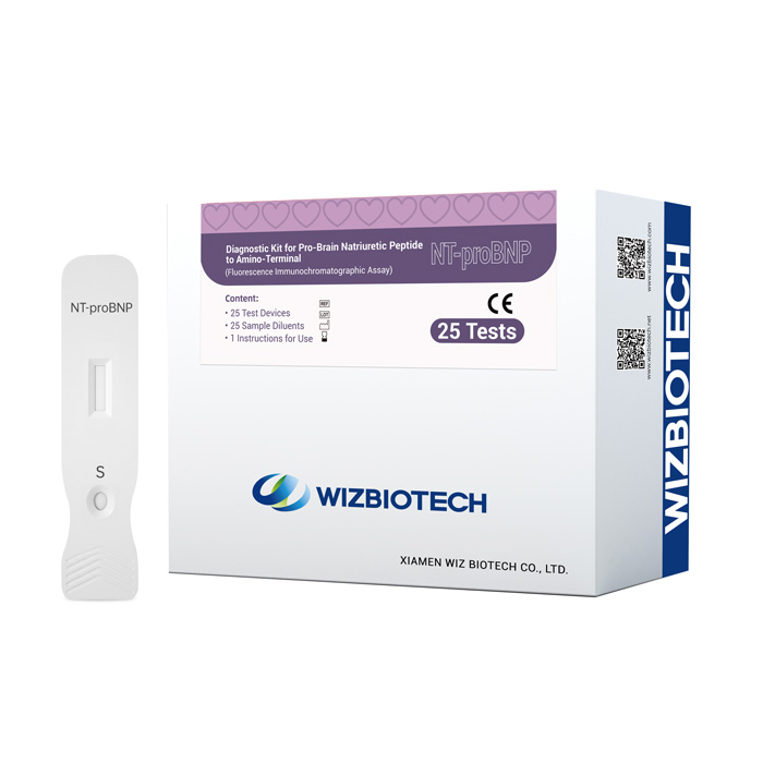 NT-ProBNP - Peptide natriuretico cerebrale - Rilevamento rapido dell'insufficienza cardiaca, dispnea e sindrome coronarica acuta (immunofluorescenza) all'estremità N-terminale.