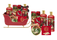 Merry Holiday Vanilla Shower Gel Gift set