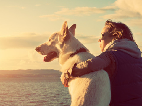 Why do pets need special bath gel? How to choose pet shower gel?