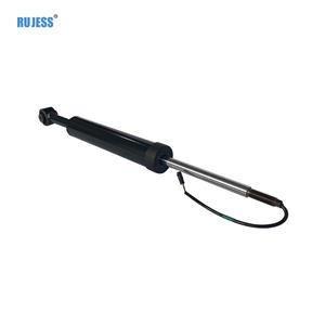 Luftfederung Stoßdämpfer für Maserati Quattroporte 2013-2017 Ghibli 2014-2020 Hinten 67010540