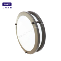 LED Flush Mount Ceiling Light Fixture Dimmable CL-01