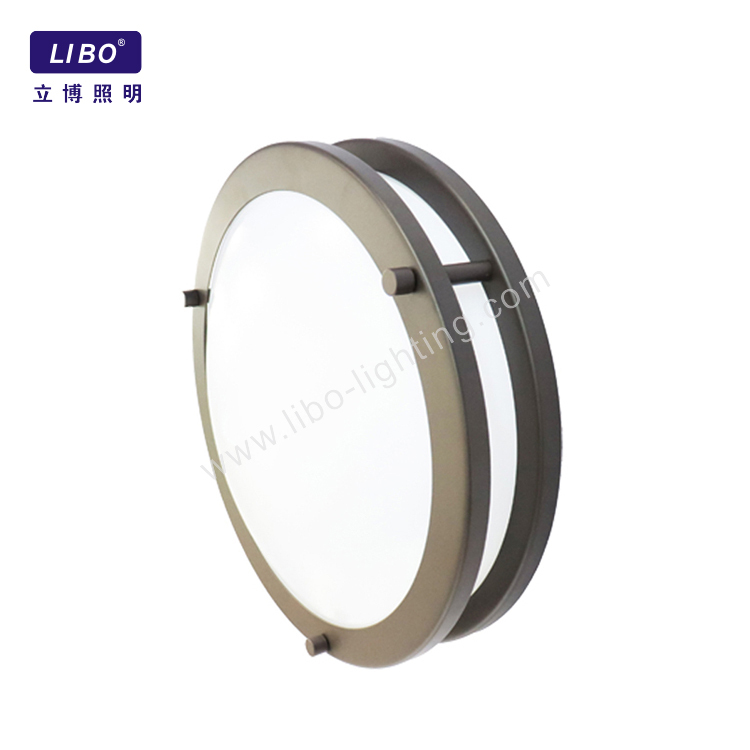 LED Flush Mount Ceiling Light Fixture Dimmable CL-01